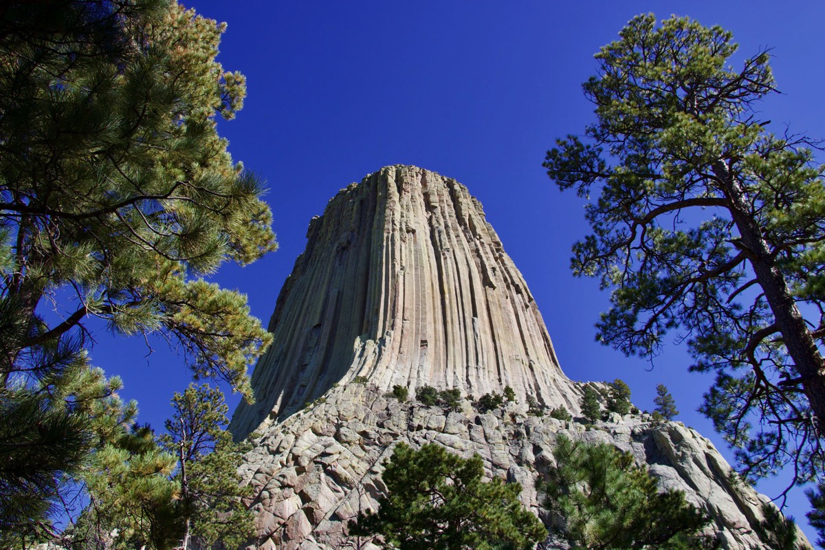 Devils Tower Wyoming USA